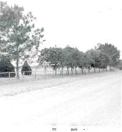 photograph of Nursery Cemetery from the road